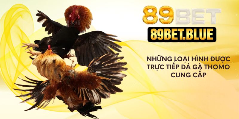 Những loại hình được trực tiếp đá gà Thomo cung cấp