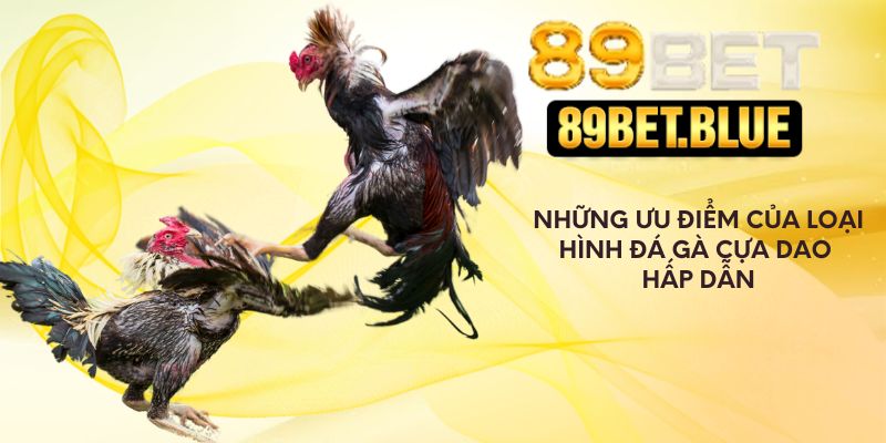 Những ưu điểm của loại hình đá gà cựa dao hấp dẫn