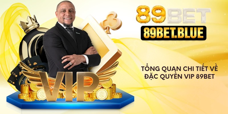Tổng quan chi tiết về đặc quyền VIP 89Bet